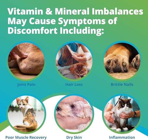 image for 5Strands Pet Nutrition Deficiency Test, 44 Vitamins and Minerals Teste