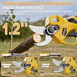 SundpeyPRO B0GF8DTFBP lato 4