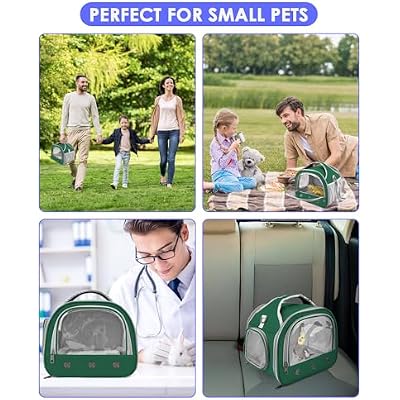 Bissap Bearded Dragon Travel Carrier, Portable Guinea Pig Carrier Bag Tortoise Carrier Pouch for Bunny Hamster Chinchilla Hedgehog Lizard Bird Outgoing Reptile Travel Carrying Case - Green