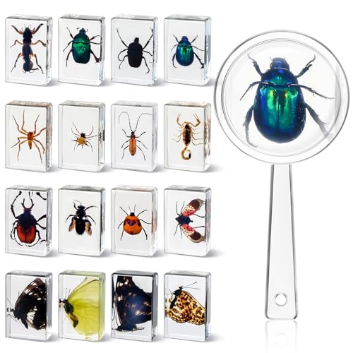 CroBlissful 16 Pcs Insect in Resin Specimen Bugs Collection Paperweights Arachnid Resin Specimen Gift for Christmas Preschool Classroom Science Home Displays Kids