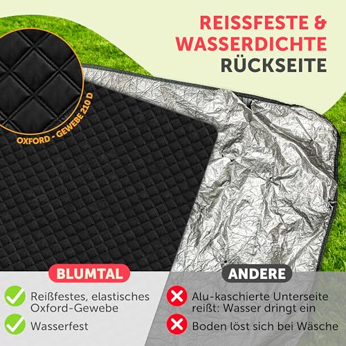 Blumtal Premium Picknickdecke wasserabweisend 200x200 cm Boho & TERRAZZO Design - waschbare Stranddecke 200x200 + weiche Zwischenfüllung - Campingdecke aus Oxford-Gewebe - Decke Terrazzo Kreise