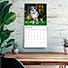 Australian Shepherds | 2026 12 x 24 Inch (Hanging) Monthly Square Wall Calendar | Plastic-Free | BrownTrout | Animals Dog Breeds