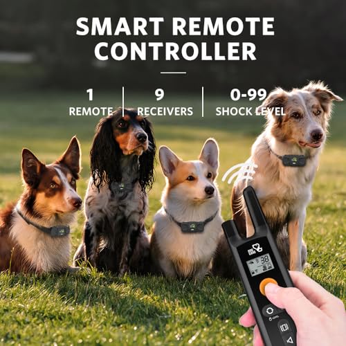 Image of DOG CARE Shock Collar for Dogs - Dog Training Collar with Remote, 3 Training Modes, Rainproof, Security Lock, Long Remote Range, Rechargeable E-Collar for Small Medium Large Dogs All Breeds