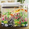 Pietre per acquario per acquari | decorazione | negozio acquariofilia | Zoo Roco
