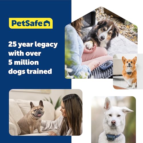 PetSafe Basic Dog Trainer with Remote Waterproof Training Collar 300 ft Range Tone, Vibration and 8 Levels of Static by PetSafe - Image 8