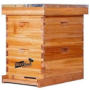 Beehive 8 Frame Bee Hives and Supplies Starter Kit, Bee Hive for Beginner, Honey Bee Hives Includes 1 Deep Bee Boxes, 1 Bee Hive Super with Beehive Frames and Foundation