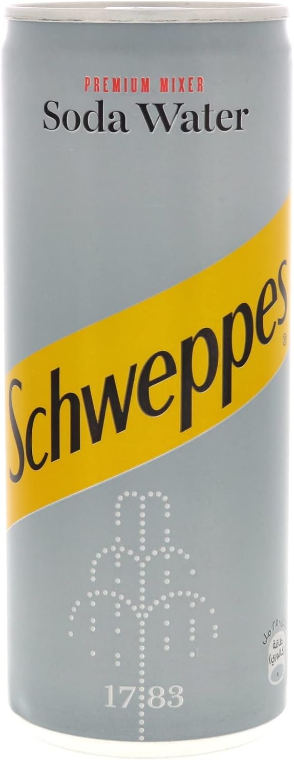 Premium Mixer Soda Water 250ml