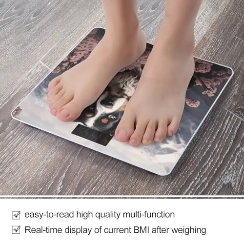 Báscula digital precisión alta Bernese Mountain Dog miniatura 5