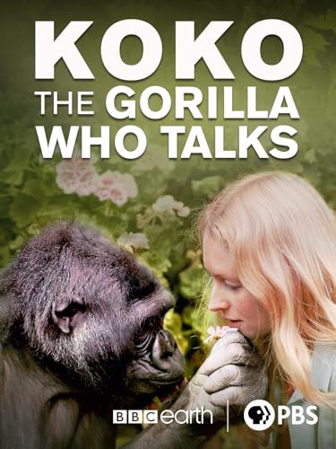 Koko: The Gorilla Who Talks