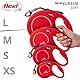 flexi® Classic XS Gurt 3 m rot, Roll-Leine für Hunde bis 12 kg