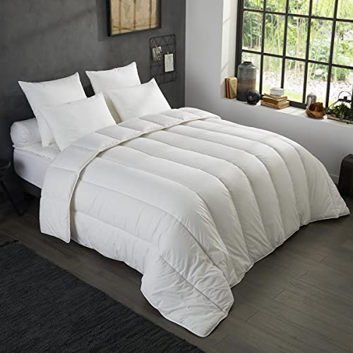 DODO I Couette Tempérée Anti-Acarien & Anti-Bactérien 220x240 I pour Lit 2 Personnes I Toucher Peau de Pêche Ultra-Doux I Nuits Calmes I Fabriqué en...