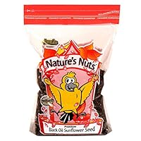 Algopix Similar Product 5 - Natures Nuts Premium Black Oil