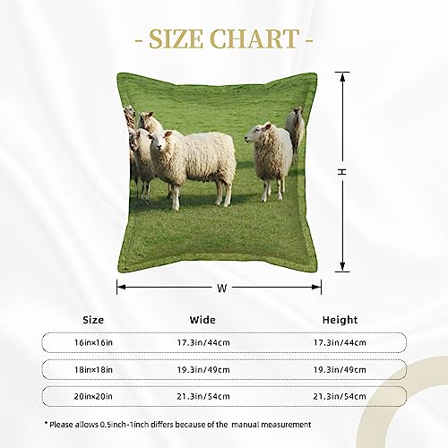 Housses de coussin décoratives style rustique pour relooker votre canapé