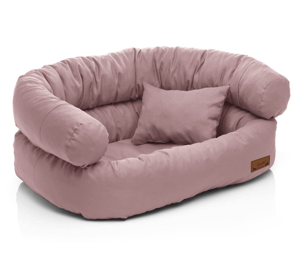 Expression Comfort - Cama Para Perros XL, Lavable Con Funda Extraíble Y Cierre, Extragrande Para Perros Con Funda Para Cama