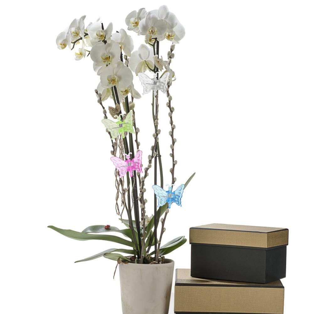 Vilgftyiet 30 clip per orchidee a forma di libellula, per supporto per piante, strumento di fissaggio per legami da giardino, in plastica colorata, 3,5 x 3,3 cm (confezione da 30, 6 colori