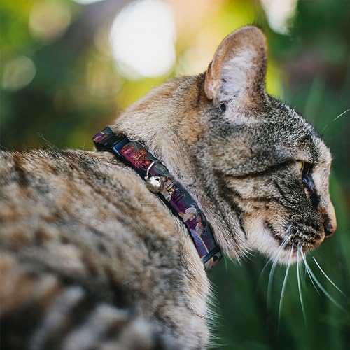 Image of Buckle-Down Breakaway Cat Collar - Aladdin & Jasmine Scenes /Castle /Birds - 1 /2 inch Wide - Fits 8-12 inch Neck - Medium