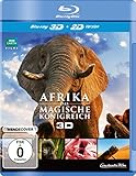 Afrika - Das magische Königreich (+ Blu-ray)