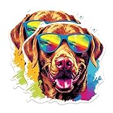 (2 Pack) Chesapeake Bay Retriever Dog Stickers - Chesapeake Bay Retriever with Sunglasses - Choose FromOver 100 Dog Breeds - 5 Inches On Longest Side - Premium Vinyl - Made in USA - BMCS0336