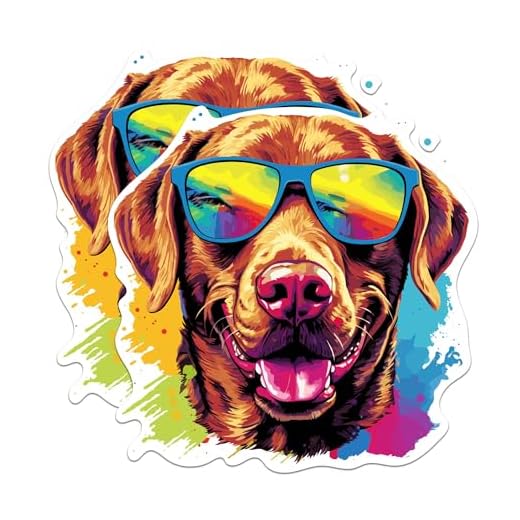 (2 Pack) Chesapeake Bay Retriever Dog Stickers - Chesapeake Bay Retriever with Sunglasses - Choose FromOver 100 Dog Breeds - 5 Inches On Longest Side - Premium Vinyl - Made in USA - BMCS0336
