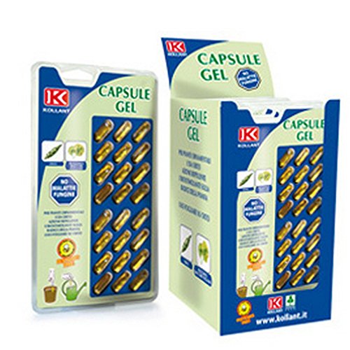 Kollant 01264074 No Malattie Fungine Confezione da 24 Capsule