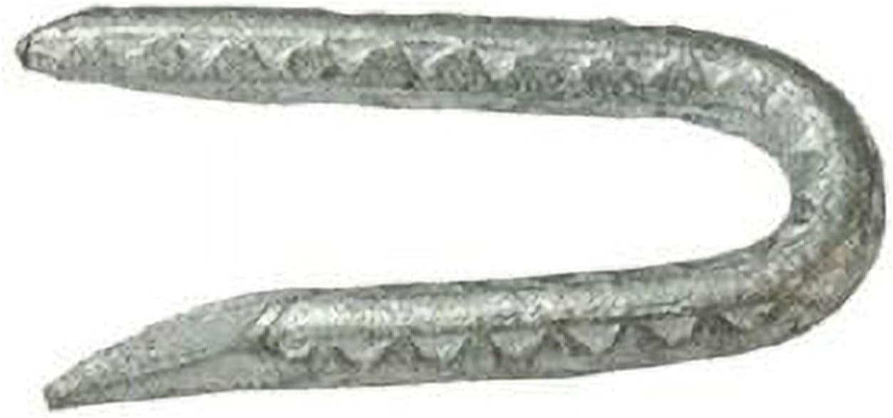 1.75 in. 1 lbs Galvanized Fence Staples - Pack of 12