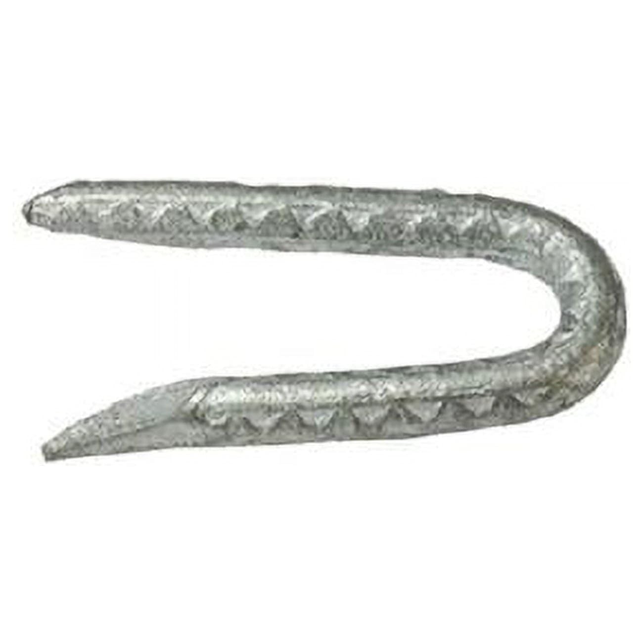Grip-Rite 1-3/4 in. L Galvanized Fence Staples 1 lb. - Case of: 12;12