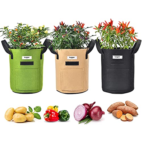 Sungmor 3PC Large Fabric Pots, Grow Bags for Plants 10 Gallon Patio Garden Bags Cloth Pots, Heavy Duty Thick Non Woven Planters Flower Pots Gardening Planting Bags for Flowers Vegetables Pepper Plants