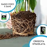 Zoom IMG-2 zoma kit rinvaso per piante Zoom IMG-2 zoma kit rinvaso per piante