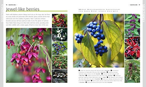 RHS How to Grow Practically Everything: Gardening Projects Anyone Can Do