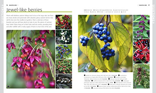 RHS How to Grow Practically Everything: Gardening Projects Anyone Can Do