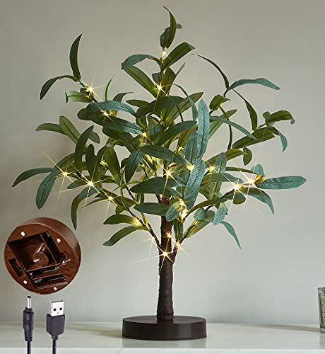 LITBLOOM Lighted Tabletop Olive Tree 18IN 50 LED Fairy Lights with Timer Battery Operated or USB...
