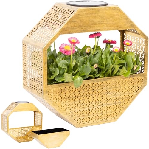 Gadgy Lámpara de Pared Solar con Maceta – Luz Solar de Pared con Jarrón Colgante e Iluminación LED Blanca Cálida – Decoración Resistente a la Intemperie para Balcón, Terraza o Jardín