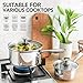 MICHELANGELO Stainless Steel Saucepan Set with Lids 1QT & 2QT & 3QT, Stainless Steel Sauce Pot Set 6pcs, Induction Saucepans, Nonstick Sauce Pan Set, Dishwasher Safe