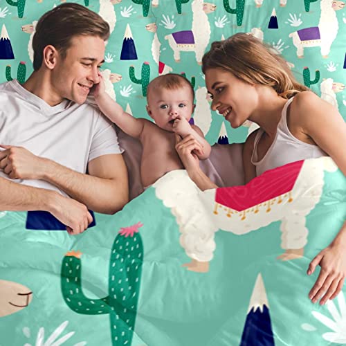 Duvet Covers Set King Alpacas Pattern With Cactus - Soft And Breathable Microfiber Comforter Bedding Set With Zipper Closure For Kids Women Men, 1 Duvet Cover 2 Pillowcase #TOP5