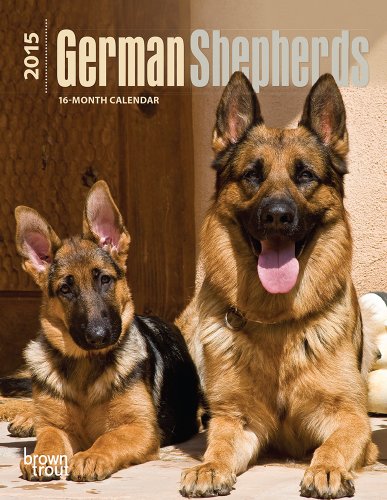 German Shepherds 2015 Calendar
