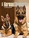 German Shepherds 2015 Engagement