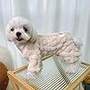 Loyanyy Plush Dog Pajamas for Cold Weather 4 Legge... #3