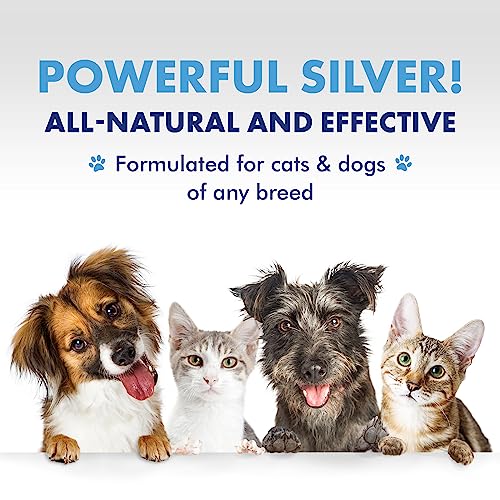PetSilver Immune Support Supplement, Kennel Cough, Respiratory, Sinus, and Allergy Relief for Dogs & Cats, All Natural Patented Chelated Silver, Easy to Use Dropper, 2 fl oz - Thumbnail 7