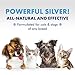 PetSilver Immune Support - Promotes Respiratory Health in Cats & Dogs, Sinus & Kennel Cough Treatment, Natural Antibiotic, Allergy Relief, Chelated Silver Formula, Easy-to-Use Dropper, USA - 2 fl oz