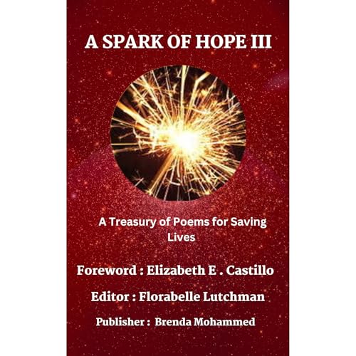 A SPARK OF HOPE III by Brenda Mohammed episode artwork