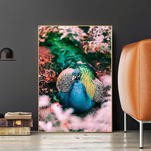 Affiche nordique paon faune africaine 50x70cm sans cadre peinture toile poster