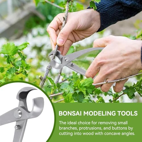 Herramienta Bonsai Tijeras Concavas 180 mm HERCHR miniatura 5