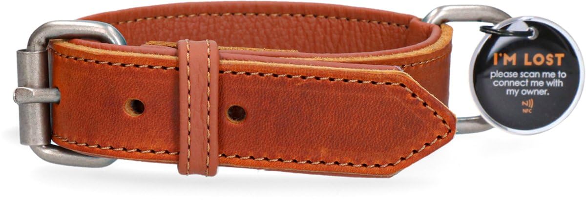 Collare in pelle – Collare per cani con pin QR – Collare con chiusura magnetica – Impermeabile – Taglia M – 50 cm – Cognac/Marrone chiaro