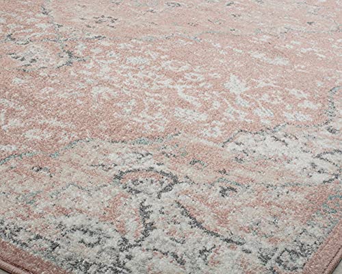 Rugs America Hailey Collection Vintage Transitional Area Rug - Ideal For Living Space, Living Room, Dining Room, Bedroom And Many More (5' X 7' Oval, Pink Amaranth) #TOP4