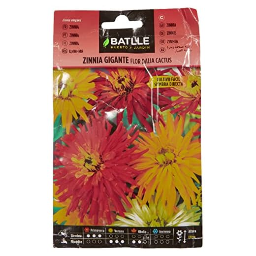 Semillas Batlle Zinnia gigante flor Dalia CACTUS
