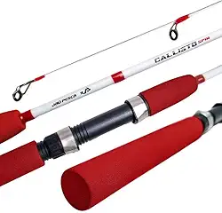 Vara de Pesca Jaú Pesca Callisto Spin, Fibra de Vidro, 2 Partes, 10-20 lbs, Molinete
