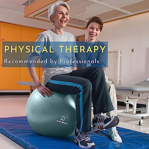 Probody Pilates Ball Yoga Ball Exercise Ball, Fresh Colors Balance Ball Or Pregnancy Ball For Stability, As A Yoga Ball Chair, Therapy Ball Workout Ball Or Birthing Ball For Pregnancy (Mist, 65 Cm) #TOP4