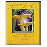 Dead Poster - 8x10 Psychedelic Magic Mushrooms - Grateful Gifts - Concert Posters - Hallucinogenic Golden Teacher - Dead Head Wall Art - Pshycadellic Room Decor - Teen, Dorm Room Decor