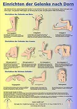 Poster Einrichten Der Gelenke Nach Dorn 50x72cm 50x72 Cm Amazon De Drogerie Korperpflege