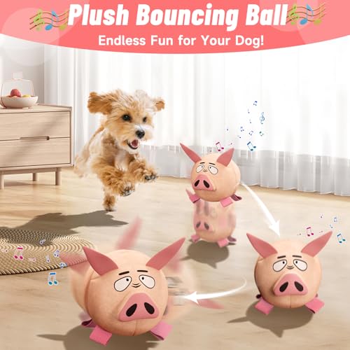 Qdan Interactive Dog Toys - Bouncing Ball For Dogs, Remote Control thumb #1
